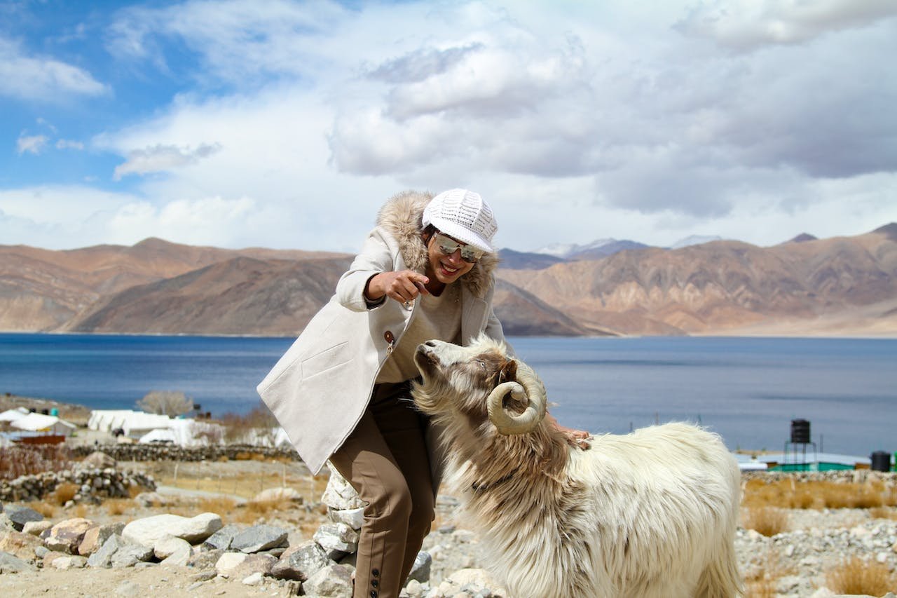 meals travel agency Leh Ladakh Tour Packages